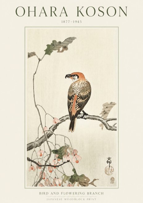 Ohara Koson Bird and Flowering Branch No1 - Plakát