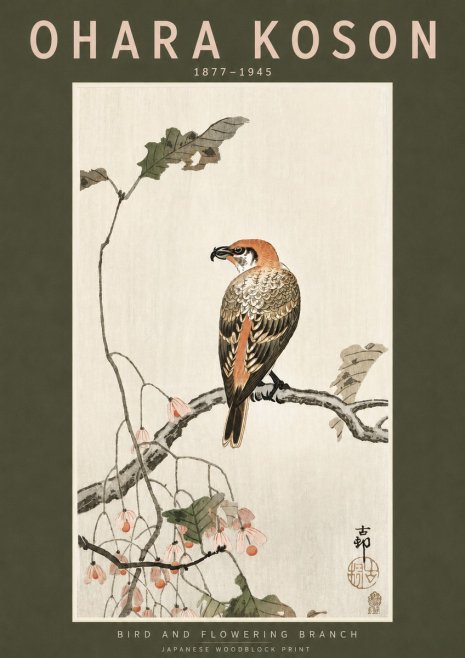 Ohara Koson Bird and Flowering Branch No3 - Plakát