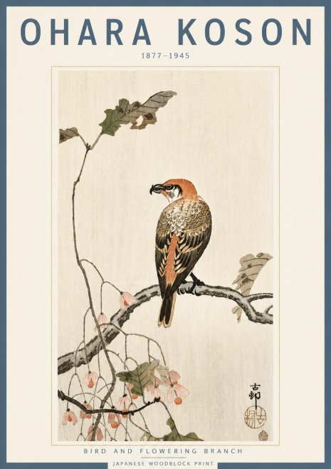 Ohara Koson Bird and Flowering Branch No4 - Plakát