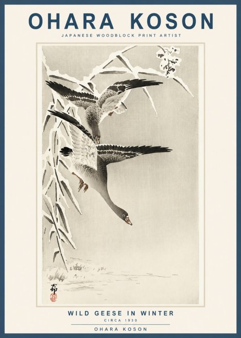 Ohara Koson Wild Geese in Winter No3 - Plakát