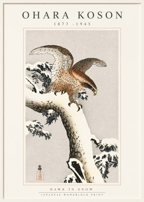 Ohara Koson Hawk in Snow No5 - Plakát