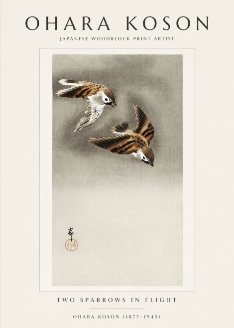 Ohara Koson Two Sparrows in Flight No1 - Plakát
