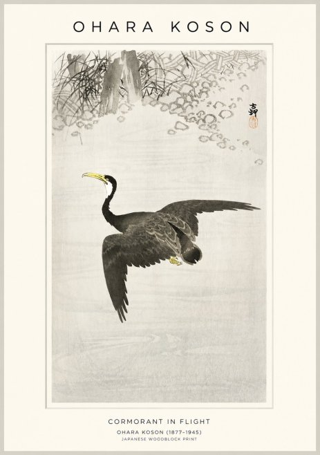 Ohara Koson Cormorant in Flight No1 - Plakát