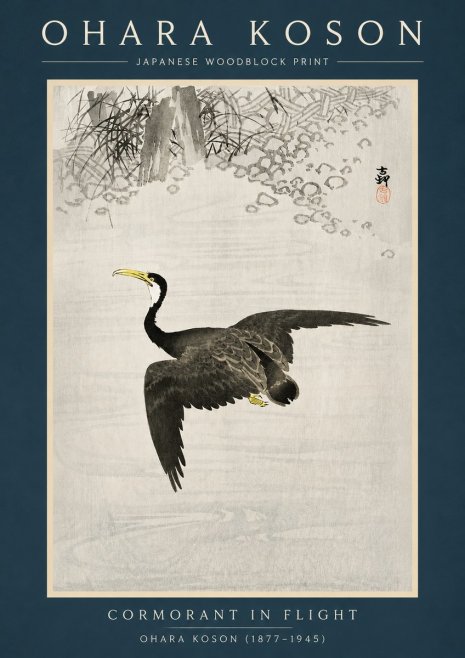 Ohara Koson Cormorant in Flight No2 - Plakát
