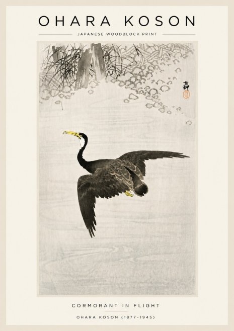 Ohara Koson Cormorant in Flight No3 - Plakát