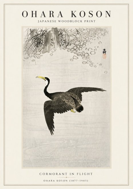 Ohara Koson Cormorant in Flight No5 - Plakát