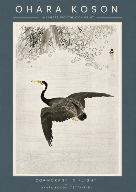 Ohara Koson Cormorant in Flight No6 - Plakát