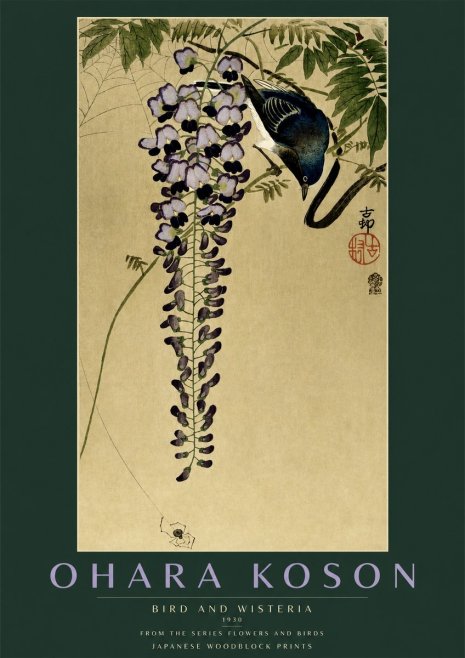 Ohara Koson Bird and Wisteria No2 - Plakát