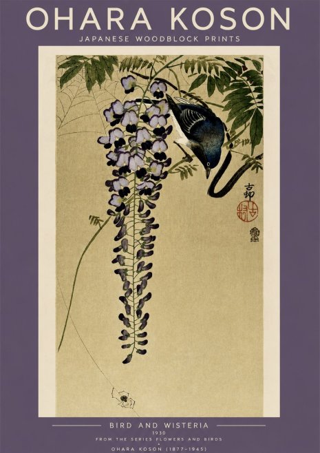 Ohara Koson Bird and Wisteria No4 - Plakát