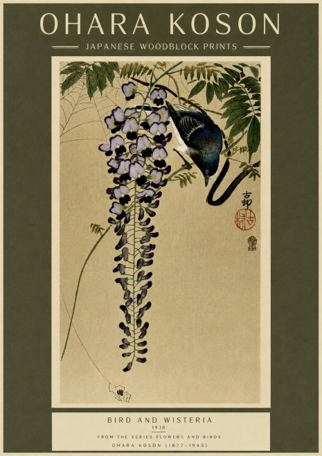 Ohara Koson Bird and Wisteria No6 - Plakát