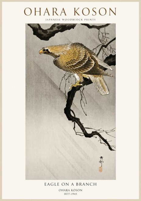 Ohara Koson Eagle on a Branch II No1 - Plakát