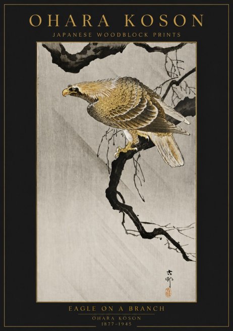 Ohara Koson Eagle on a Branch II No6 - Plakát