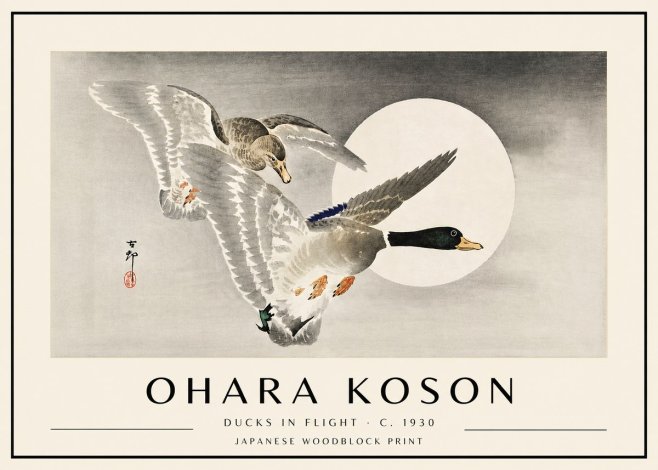 Ohara Koson Ducks in Flight No4 - Plakát