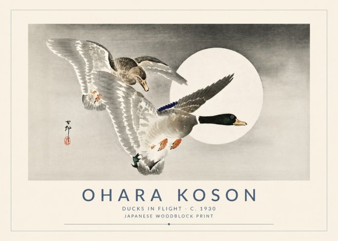 Ohara Koson Ducks in Flight No5 - Plakát