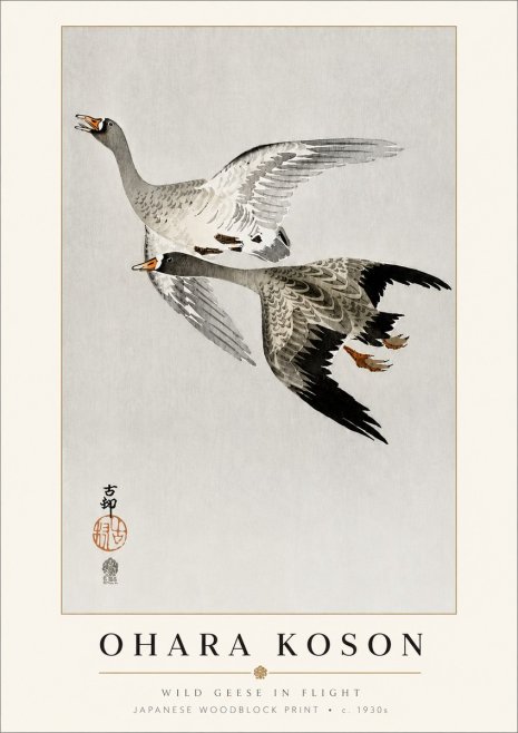 Ohara Koson Wild Geese in Flight III No3 - Plakát