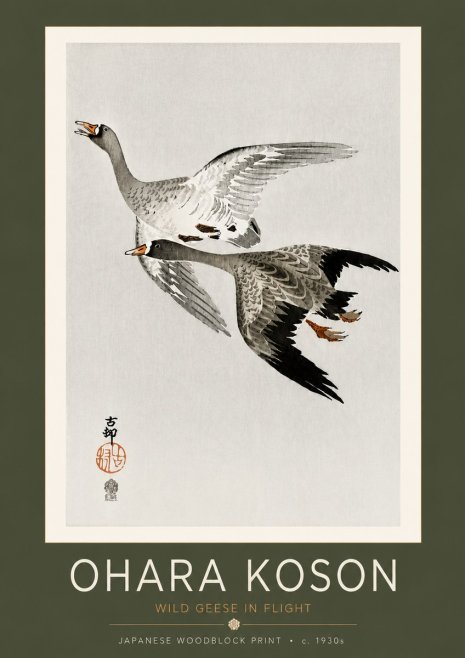 Ohara Koson Wild Geese in Flight III No4 - Plakát