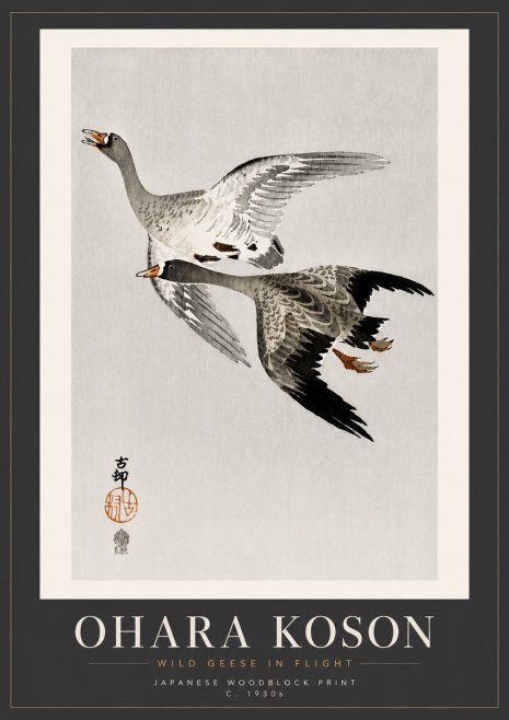 Ohara Koson Wild Geese in Flight III No5 - Plakát