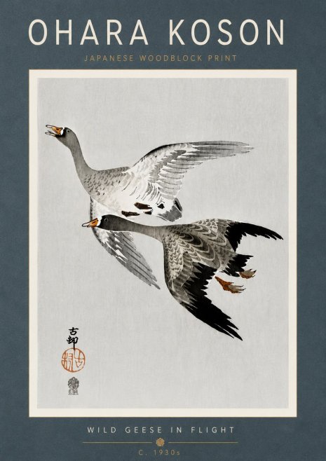 Ohara Koson Wild Geese in Flight III No6 - Plakát