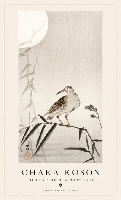 Ohara Koson Bird on a Reed in Moonlight No1 - Plakát