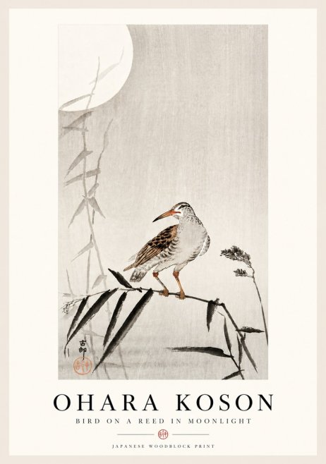 Ohara Koson Bird on a Reed in Moonlight No4 - Plakát