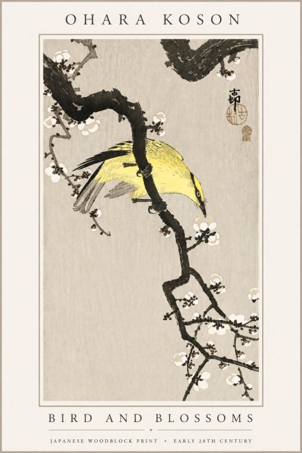 Ohara Koson Bird and Blossoms No6 - Plakát