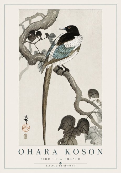 Ohara Koson Bird on a Branch IV No5 - Plakát