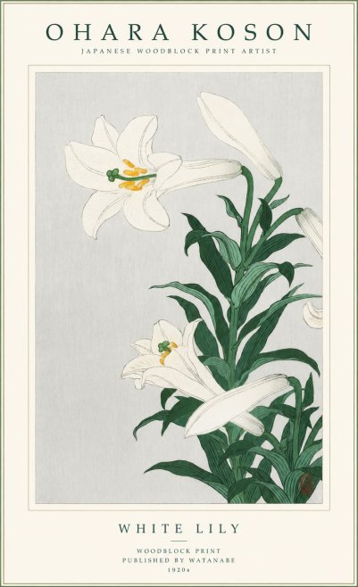 Ohara Koson White Lily No1 - Plakát