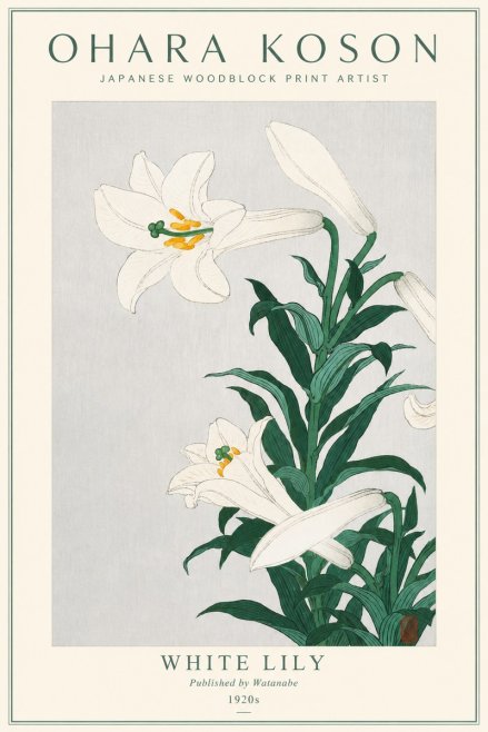 Ohara Koson White Lily No3 - Plakát