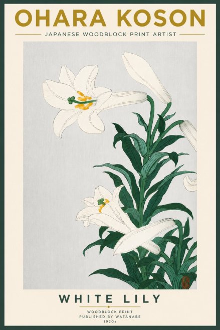 Ohara Koson White Lily No5 - Plakát