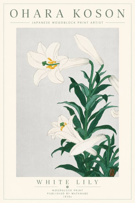 Ohara Koson White Lily No6 - Plakát