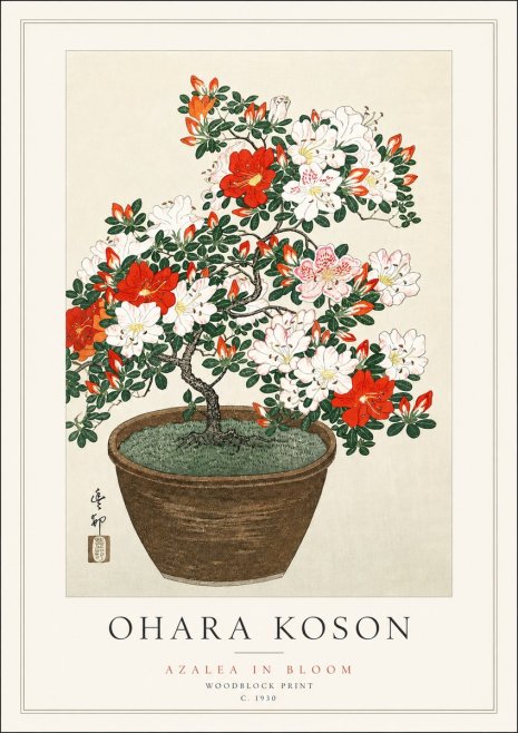 Ohara Koson Azalea in Bloom No3 - Plakát