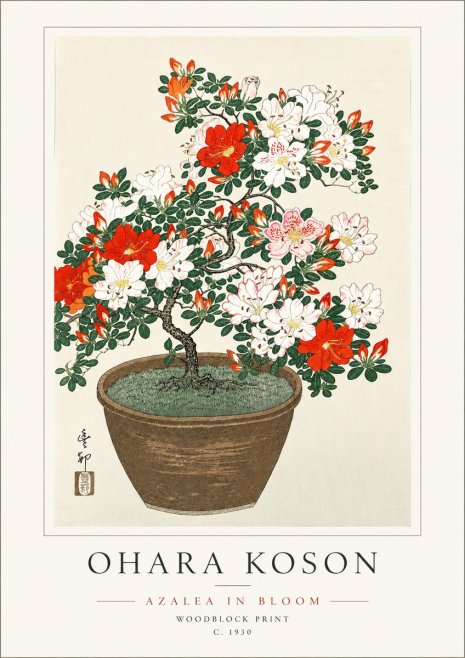 Ohara Koson Azalea in Bloom No6 - Plakát