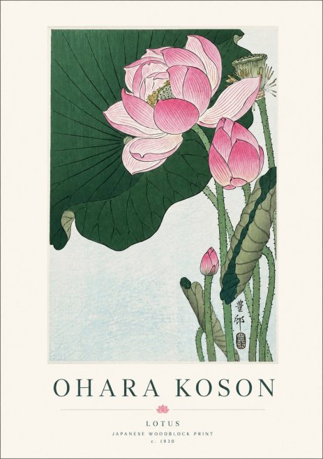 Ohara Koson Lotus II No1 - Plakát