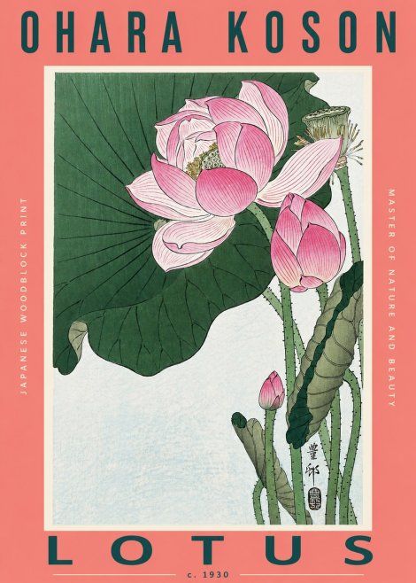 Ohara Koson Lotus II No2 - Plakát
