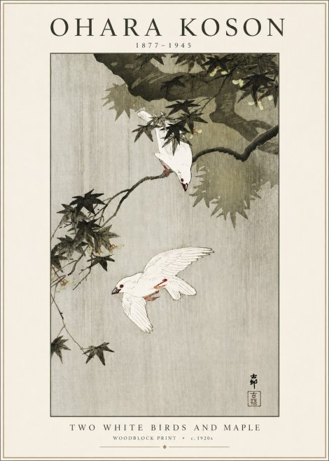 Ohara Koson Two White Birds and Maple No3 - Plakát