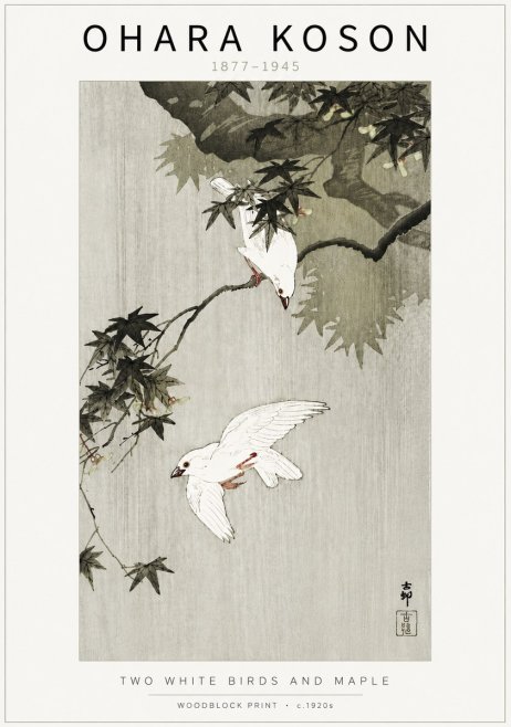 Ohara Koson Two White Birds and Maple No5 - Plakát