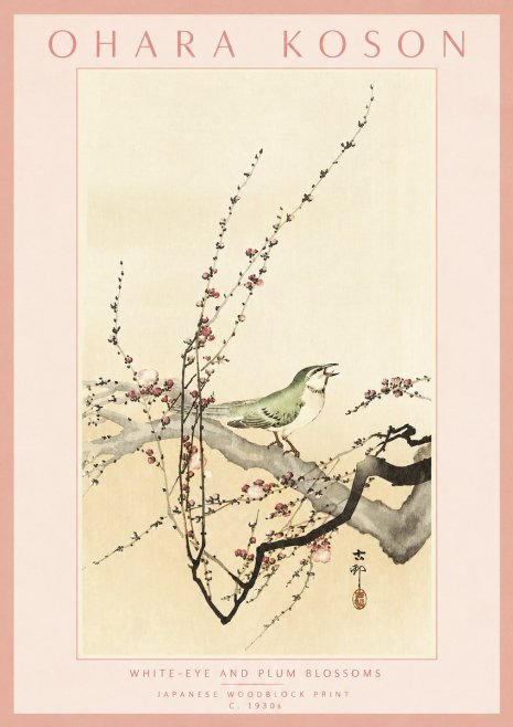Ohara Koson White-eye and Plum Blossoms No3 - Plakát