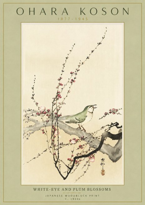 Ohara Koson White-eye and Plum Blossoms No4 - Plakát