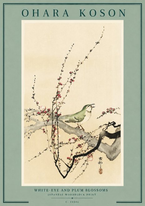 Ohara Koson White-eye and Plum Blossoms No6 - Plakát