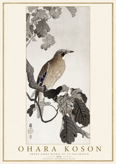 Ohara Koson Brown-eared Bulbul on an Oak Branch No1 - Plakát