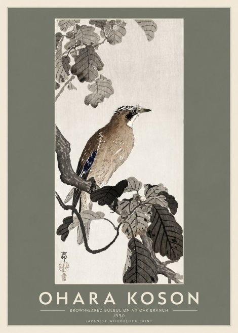 Ohara Koson Brown-eared Bulbul on an Oak Branch No2 - Plakát