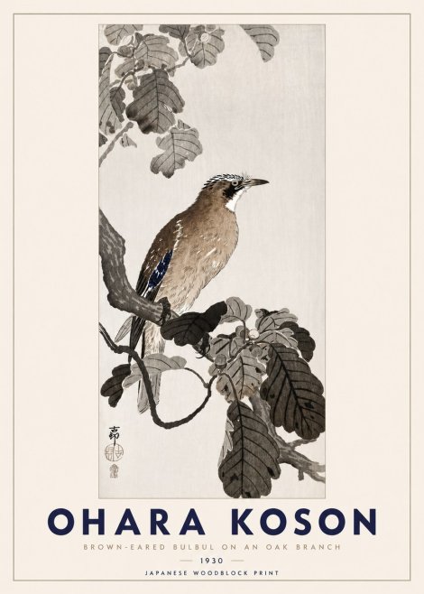 Ohara Koson Brown-eared Bulbul on an Oak Branch No3 - Plakát