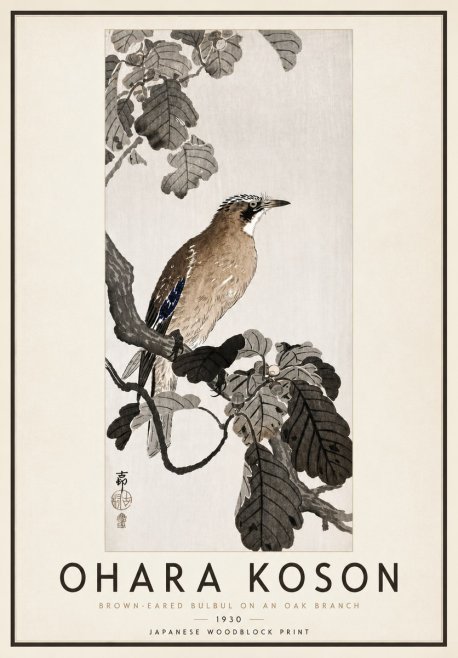 Ohara Koson Brown-eared Bulbul on an Oak Branch No4 - Plakát