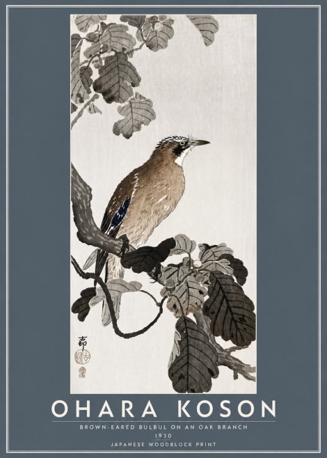Ohara Koson Brown-eared Bulbul on an Oak Branch No5 - Plakát