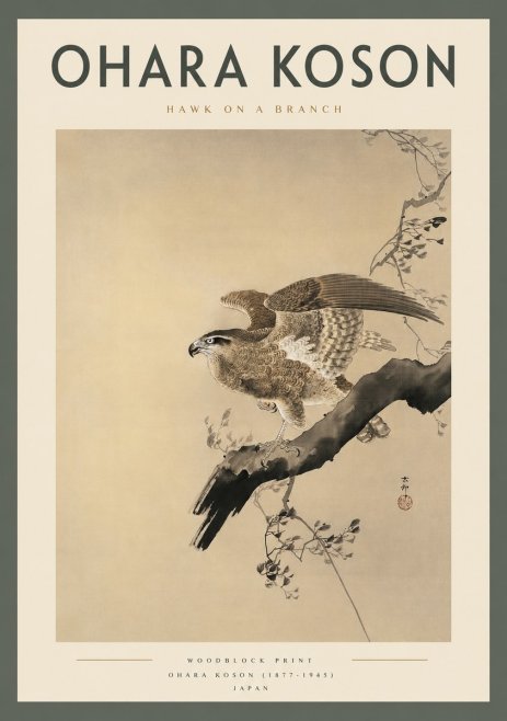 Ohara Koson Hawk on a Branch I No2 - Plakát