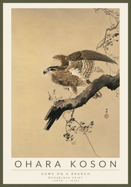 Ohara Koson Hawk on a Branch I No4 - Plakát