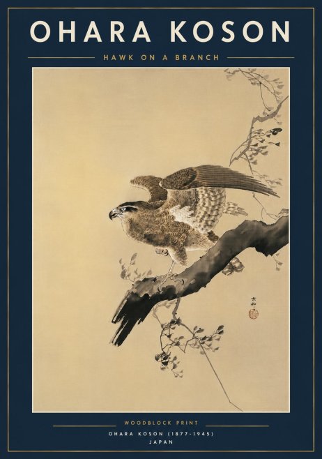 Ohara Koson Hawk on a Branch I No6 - Plakát