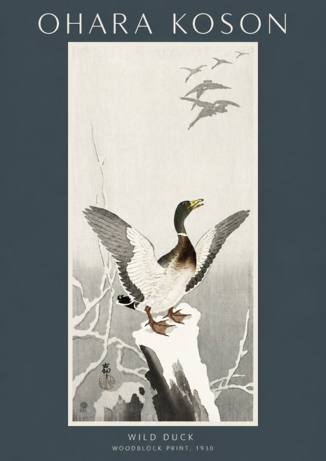 Ohara Koson Wild Duck No2 - Plakát