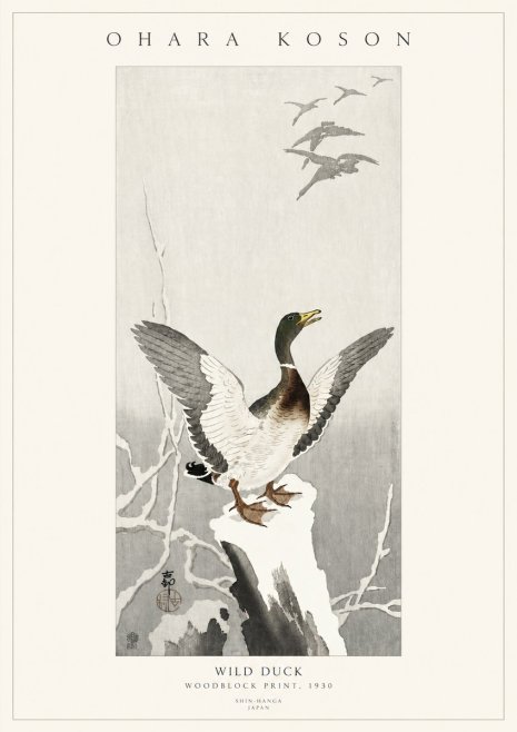 Ohara Koson Wild Duck No3 - Plakát