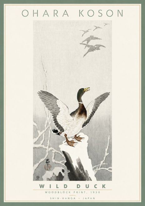 Ohara Koson Wild Duck No4 - Plakát